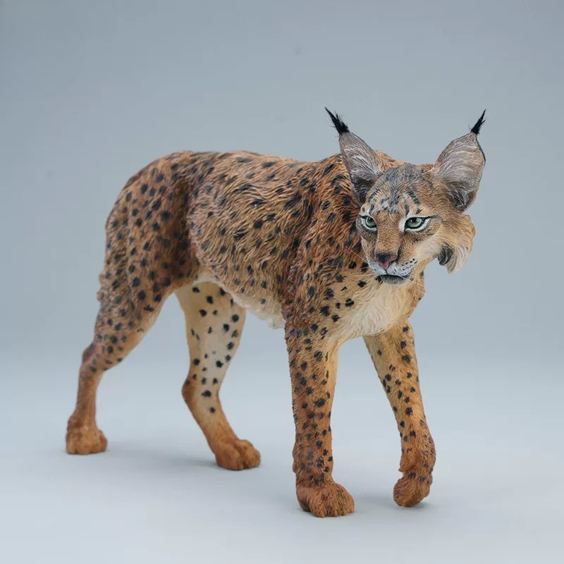 JXK361 Vorverkauf 1/6 Maßstab  – Model Kit Lynx Bewertung und Preis