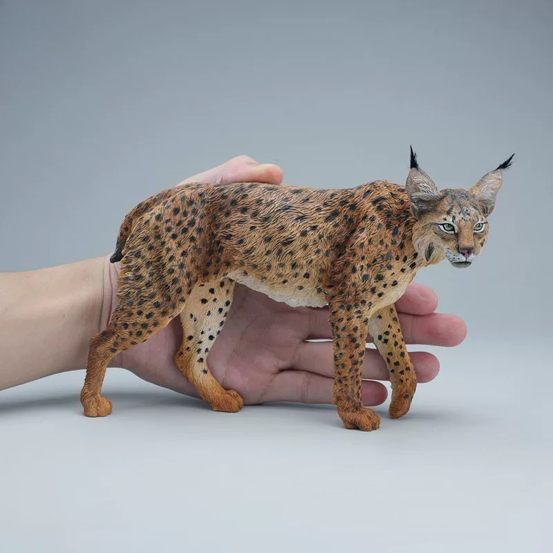 JXK361 Vorverkauf 1/6 Maßstab  – Model Kit Lynx Bewertung und Preis