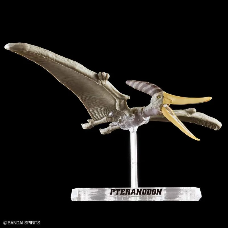 BANDAI PLANNOSAURUS Pteranodon – Model Kit Dinosaur Bandai Bewertung und Preis